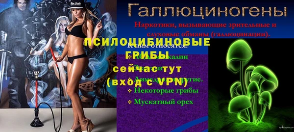 Альфа ПВП Богородицк