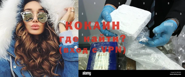 крисы Богданович